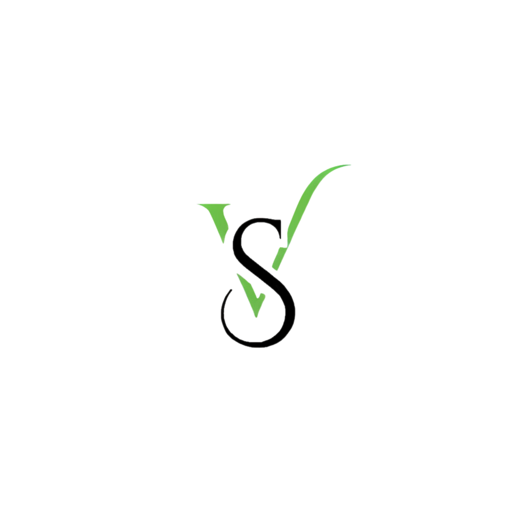 Logo-Vs-entreprise